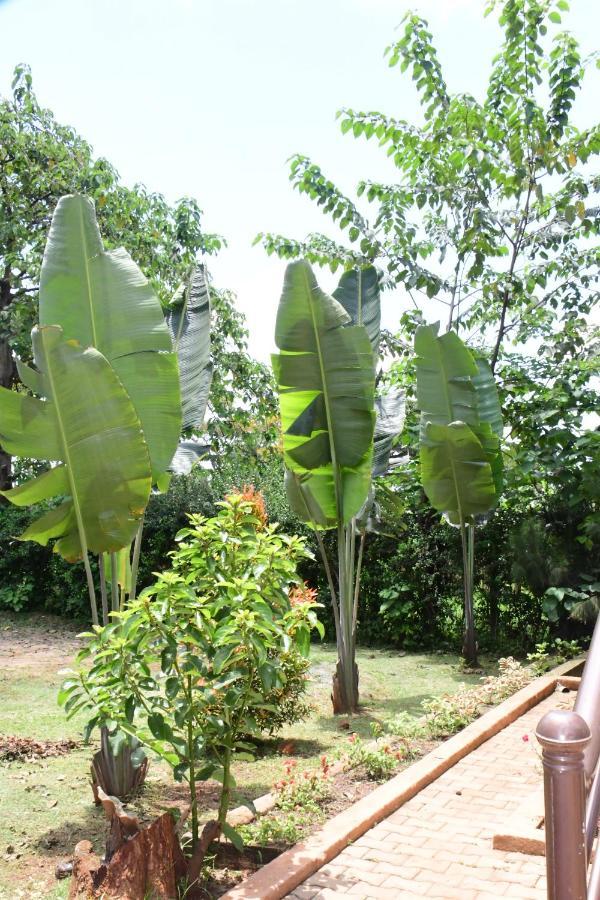 Golden Cherries Guest House Jinja Bagian luar foto
